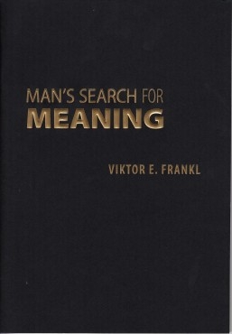 manssearchformeaning